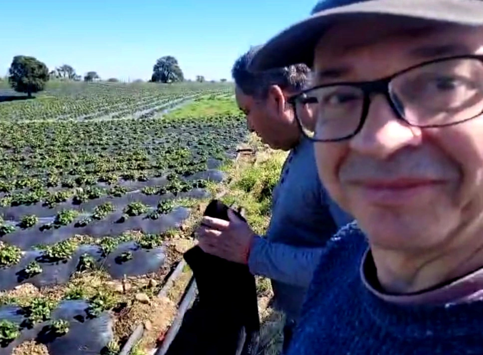 Proyecto Agrovoltaico 1
