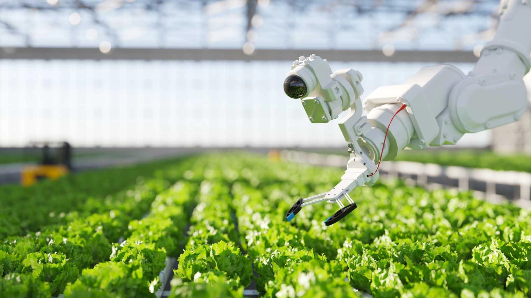 Proyecto Agrovoltaico 3